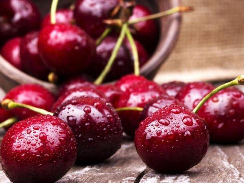 Вишня купить саженцы из питомника в Новоалтайске